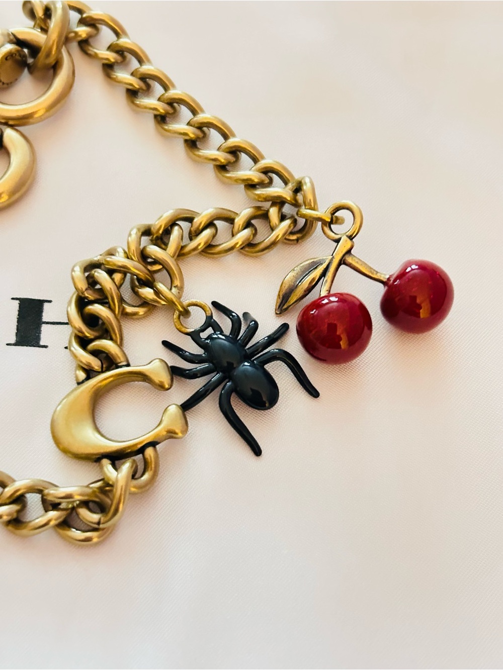 Coach Large Swag Bag Charm/ Keychain - Picture 8 of 12